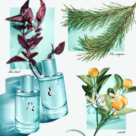 خرید عطر ادکلن تیفانی اند لاو فور هر